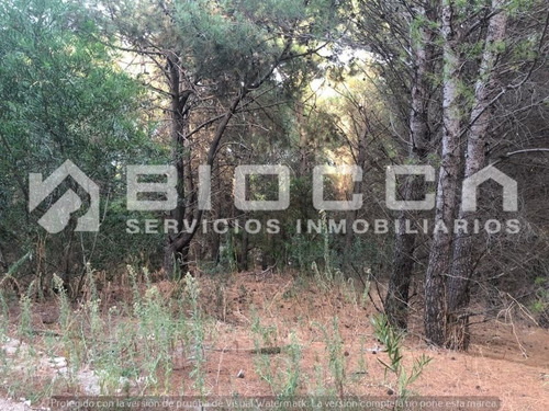 Imagen 2 de 6 de Terreno En Venta En El Pinar