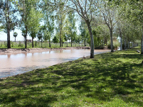Imagen 11 de 13 de Barrio Privado Pinares Del Sur. Lotes En Usd 47000 Usd, 1000mts. Piñero/alvear.