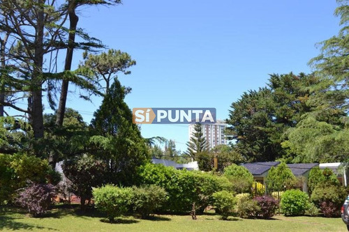 Imagen 10 de 10 de Casa En Venta - Lugano