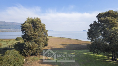 Terreno De 15.6 Ha Con 400 Mt De Orilla De Lago