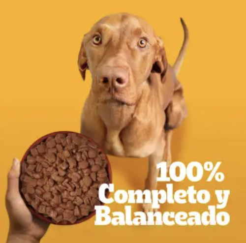 Alimento Húmedo Perro Pedigree Sabor Res En Filetes 24 Sobre