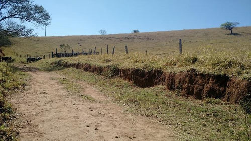 Imagem 9 de 12 de Sítio Para Venda Em Vargem, Lopo - 5422_2-318296