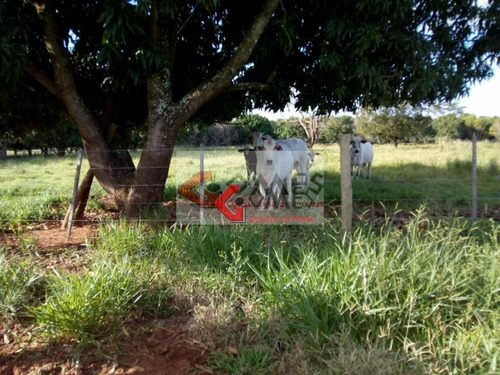 Chácara À Venda, 44719 M² Por R$ 330.000,00 - Jardim Bom Jesus - Jales/sp - Ch0031