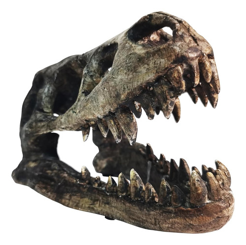 Ptosziav Cráneo De Dinosaurio T-rex Huesos De Resina Para De