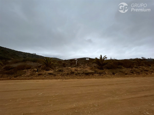 Parcela En Condominio Cerrado Vista Al Mar 5.000 M2