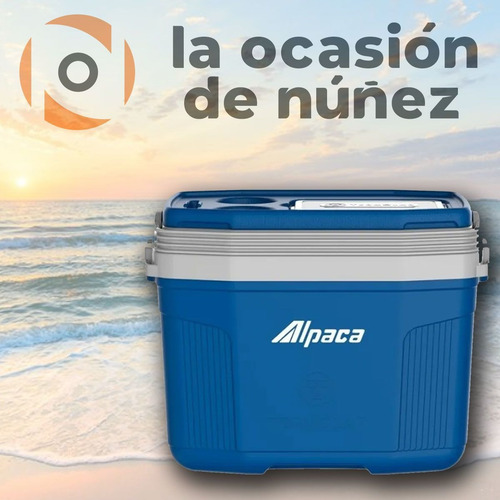 Conservadora Portatil 20 Lt Heladera Termica Alpaca Termolar