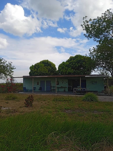 Imagen 3 de 15 de Se Vende Finca Via Al Sur Ve02-1303vs-dfer