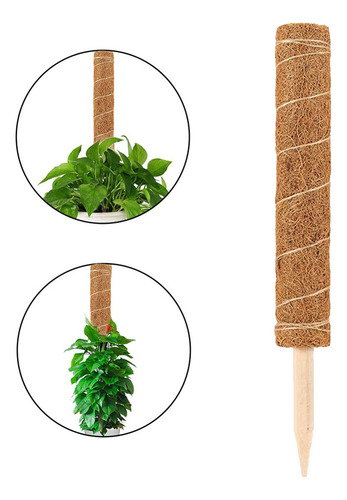 Soporte Para Plantas Con Forma De Bastón De Fibra De Coco, R