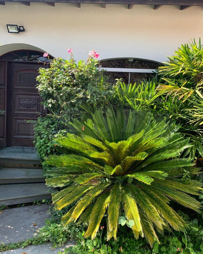 Imagem 4 de 30 de Casa De 270m² 4 Dormitórios Parque Dos Príncipes - Ca05090 - 70660989