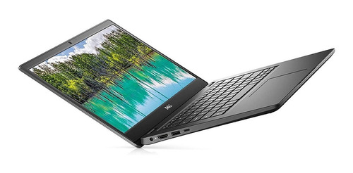 Notebook 14 Dell Latitude 3410 Core I3 10110u 4gb 500gb Win