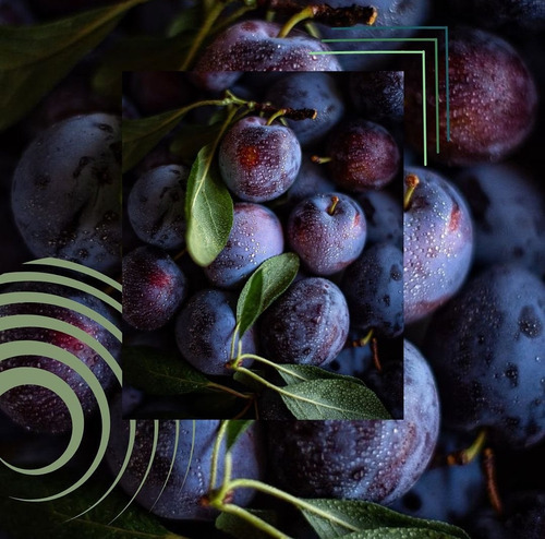 Vino Cabernet Sauvignon Sin Etiquetar 2019 Roble Mendoza X6