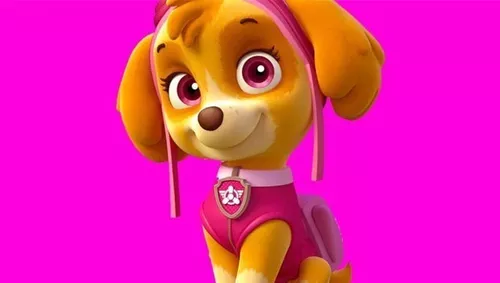 Disfraz Paw Patrol Skye Patrulla Canina - E. Full