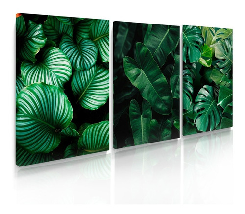 Quadros Decorativos Floral Verde Armazônia Sala Quarto Lindo