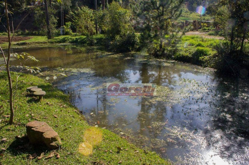 Imagem 3 de 19 de Chácara Com 2 Dormitórios À Venda, 8750 M² Por R$ 800.000,00 - Jardim Cumbica - Guarulhos/sp - Ch0048