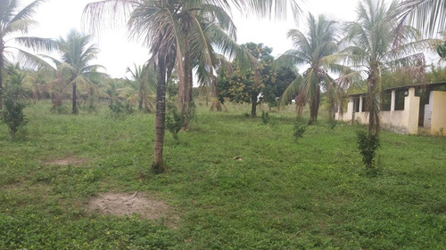 Chácara/sítio Em Esplanada Ba, Com 7 Hectares Com Casa E Rio