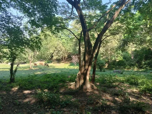 Espectacular Finca