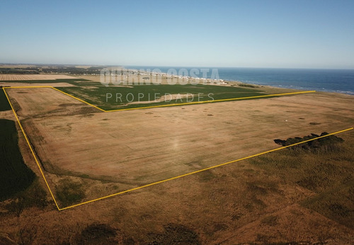 Campo En Venta Sobre El Mar - Mar Del Sur