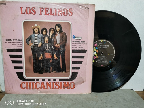 Los Felinos Lp Vinil, Chicanisimo. 