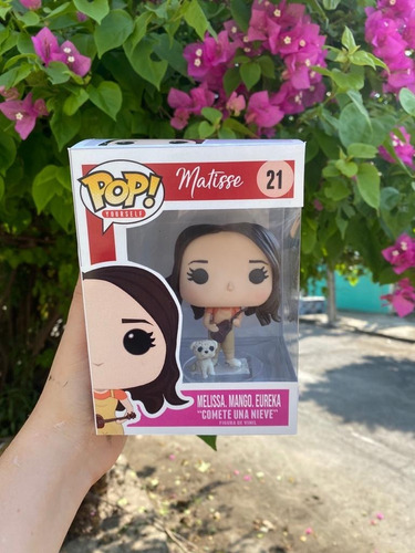 Imagen 5 de 8 de Funko Pop Personalizado ¡express! + Caja+ Mascota