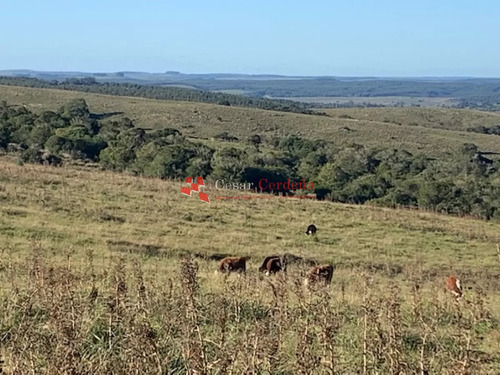 Venta - Chacra 19 Hectáreas En Sierra De Las Cañas