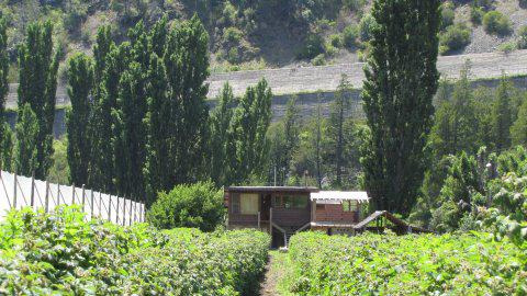 Chacra De 5has En Venta - Sobre Ruta 40 - El Hoyo - Chubut