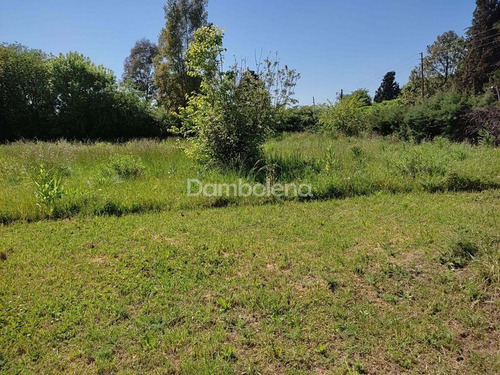 Imagen 20 de 24 de Terreno Fraccion En Venta O Permuta Ubicado En General Rodríguez, G.b.a. Zona Oeste