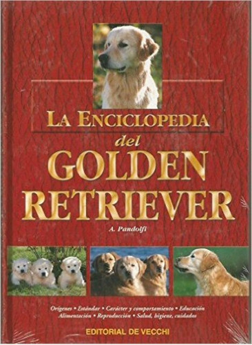 Golden Retriever La Enciclopedia Del