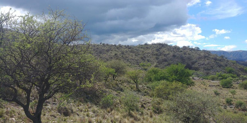 San Francisco Del Monte De Oro, Chacra 40 Hectareas Sobre Ruta , Escritura Inmediata