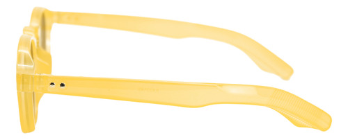 Lentes De Sol Unisex Color Mostaza Estilo Unico Y Moderno