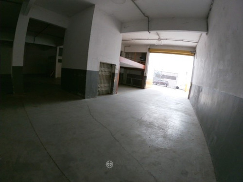 Imagem 4 de 15 de Galpão Comercial 1.500² - Vila Das Palmeiras - 4469-1