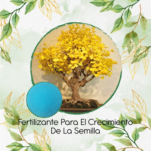 Fertilizante Para El Crecimiento De Guayacán Amarillo