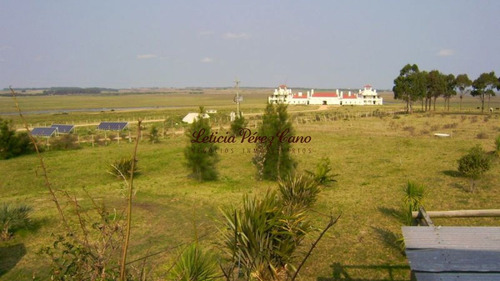 Imagen 4 de 17 de Casa En Venta En Jose Ignacio