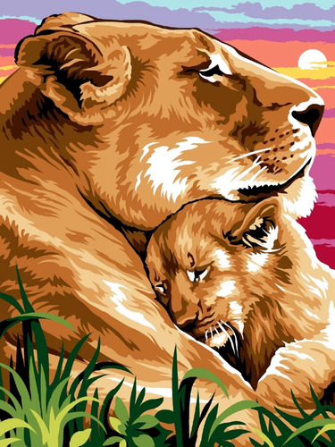 2 Tapices Animales Para Bordar Aguja Cañamazo Lanas