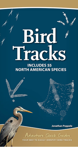 Libro: Bird Tracks: Includes 55 North American Species Quick