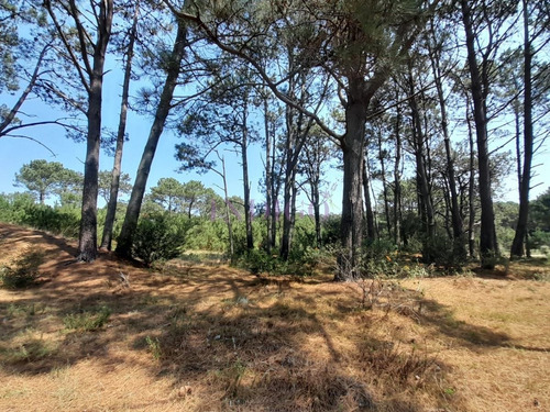 Imagen 4 de 12 de Venta De Lote En Barra Verde, La Barra, Uruguay - La Barra Barra Verde