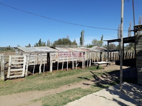 Imagen 10 de 17 de Permuto Por Casa Finca Agroganadera