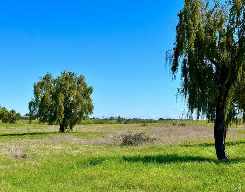 Gran Venta Final En Hacienda Don Bastián A 2 Horas Santiago