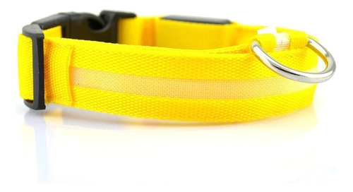 Collar Luz Led Para Mascota Perro/gato En 7 Colores 4 Talles