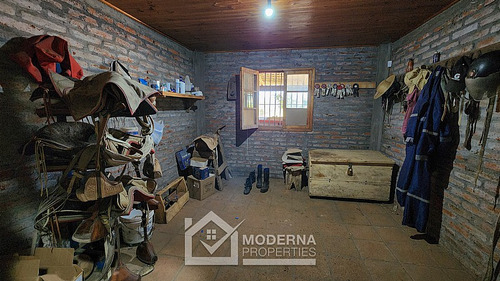 Predio 92 Ha En Morza Con Parrones En Producción