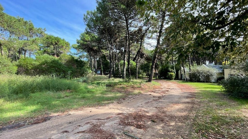 Imagen 8 de 16 de Lote Venta Z/ Norte Pinamar - Lote 11