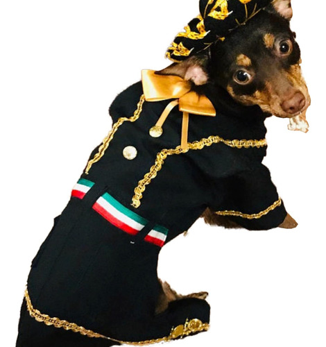 Disfraz De Perro Mariachi (xs)