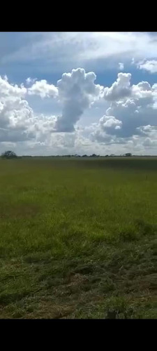 Imagen 13 de 17 de Se Vende Finca En Caicarita Estado Monagas Ve02-1095mced-mtru