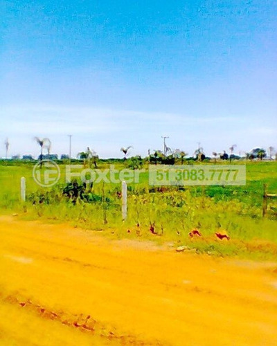 Imagem 4 de 12 de Terreno, 66000 M², Harmonia - 173430