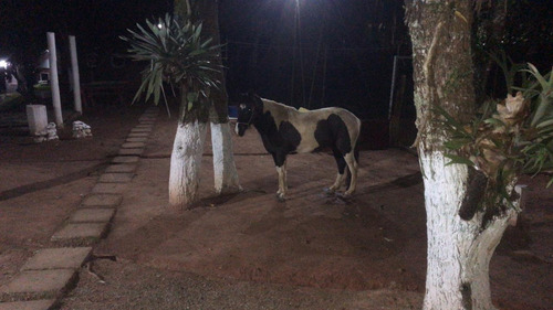 Imagem 13 de 14 de Sitio Para Temporada Barato