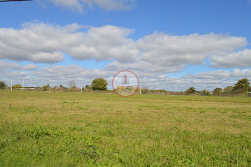 Imagen 12 de 30 de Terreno Lote En Venta Ubicado En Manuel B Gonnet, La Plata