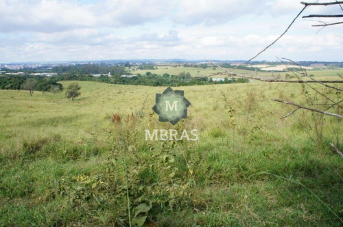 Imagem 8 de 13 de Fazenda - Salto - Mb8804