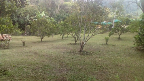 Finca En Venta En San Francisco, Aceptamos Permuta Entre 60% A 100%