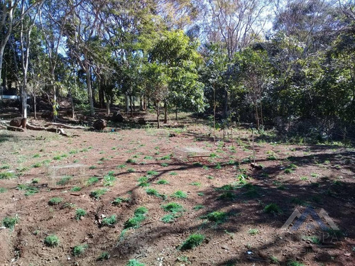 Chácara Com 1 Dormitório À Venda, 8000 M² Por R$ 480.000,00 - Gleba Ribeirão Cafezal - Londrina/pr - Ch0031
