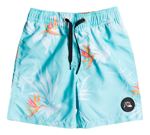 Short Quiksilver Jams Re-mix Boys (2-7 Años) Niño  Blue