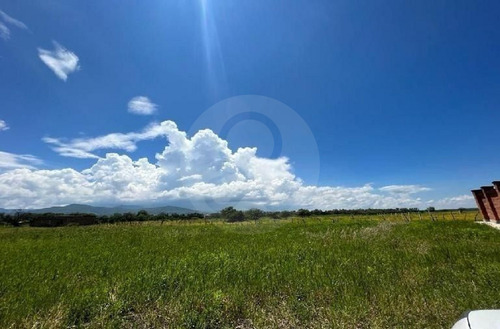 Terreno En Venta En Pinar De La Laguna 27 Atotonilco El Bajo Villa Corona
